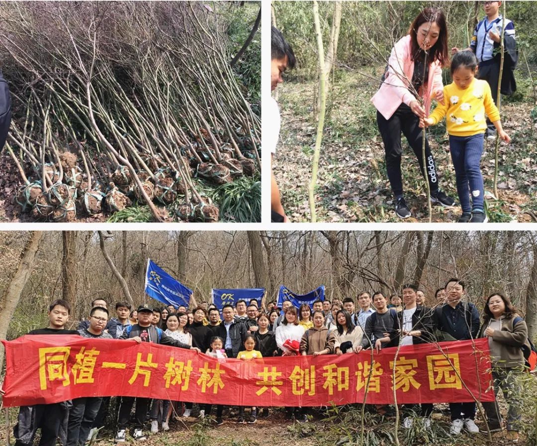 1554367421873330.jpg 南京.jpg