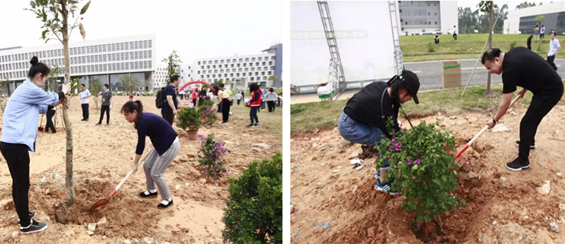 1554367247687389.jpg 2z.jpg