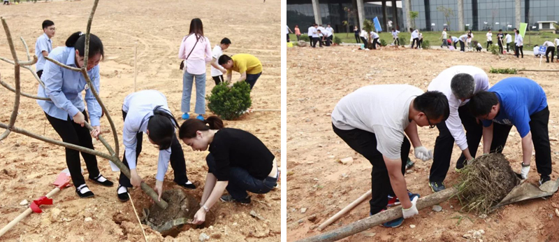 1554367238123552.jpg 1z.jpg