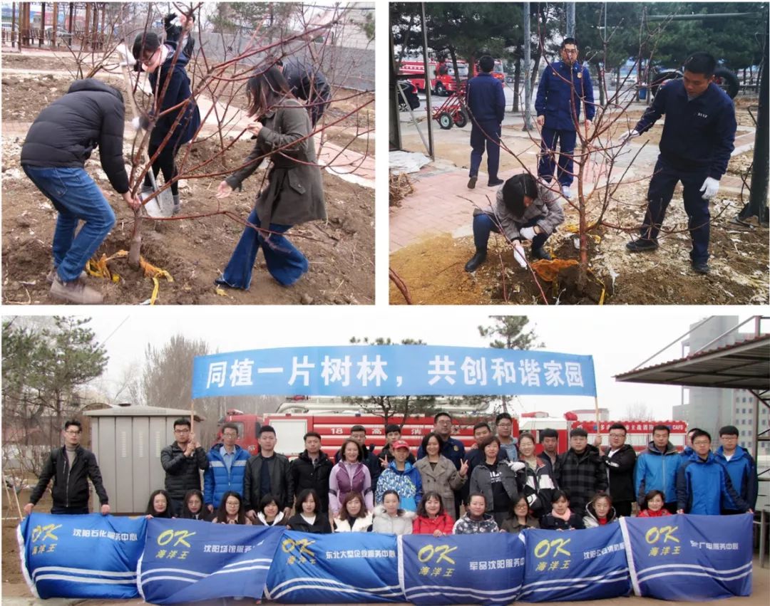 1554367401849748.jpg 沈阳.jpg