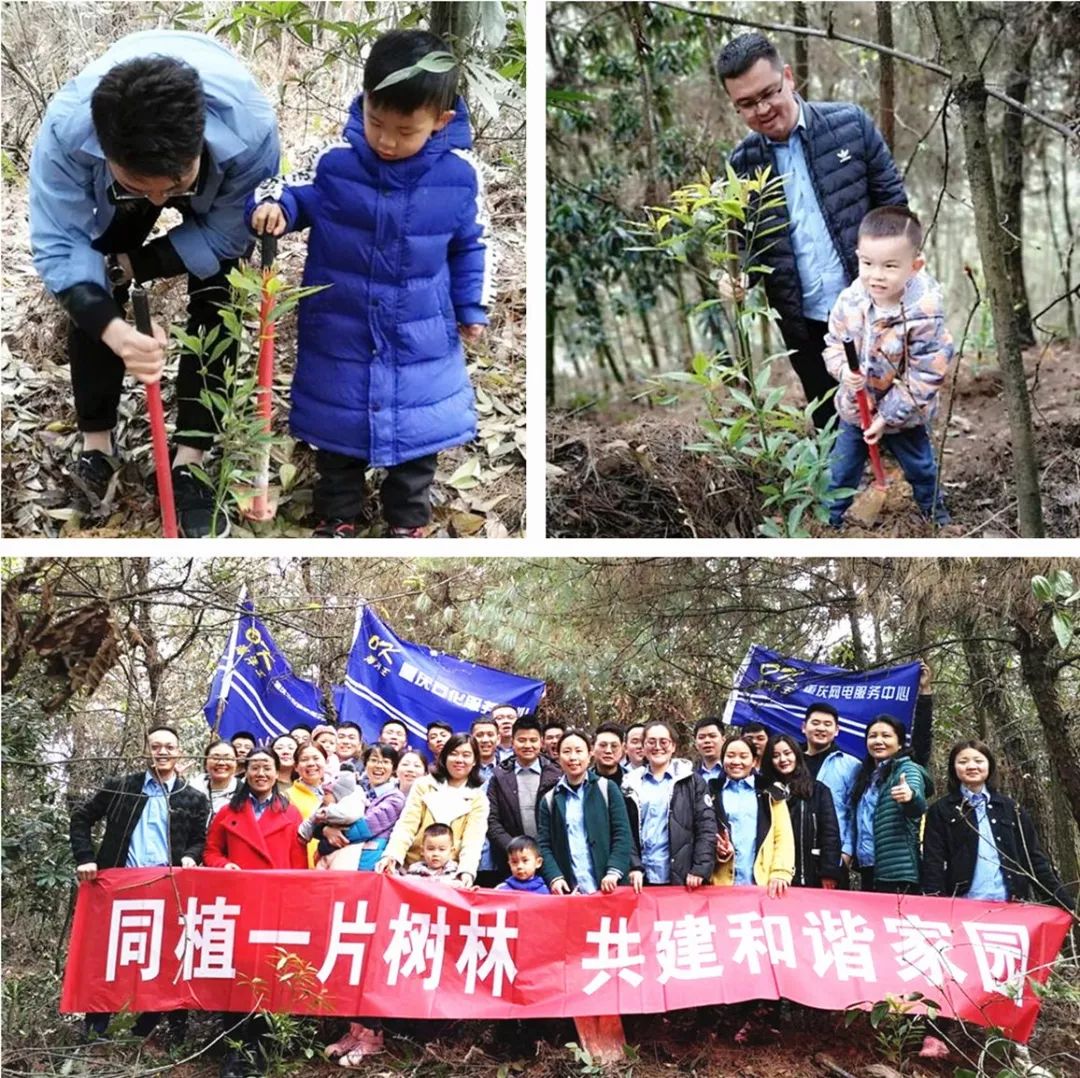 1554367430888046.jpg 重庆.jpg